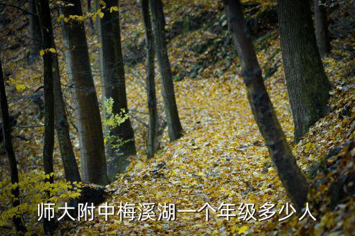 師大附中梅溪湖一個年級多少人