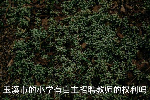 玉溪市的小學有自主招聘教師的權利嗎