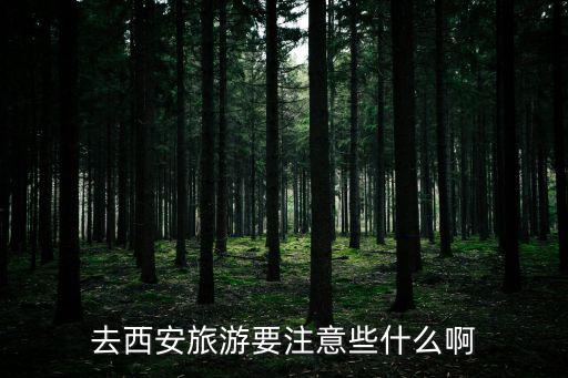 去西安旅游要注意些什么啊
