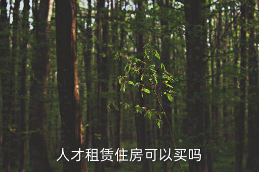 人才租賃住房可以買嗎