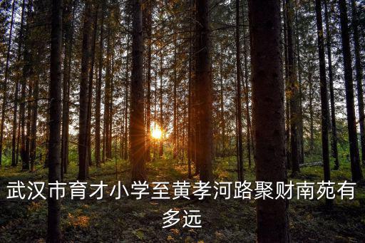 武漢市育才小學，武漢市育才小學至黃孝河路聚財南苑有多遠