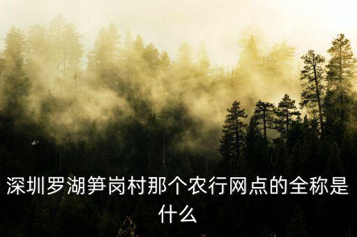 深圳羅湖筍崗村那個農行網點的全稱是什么