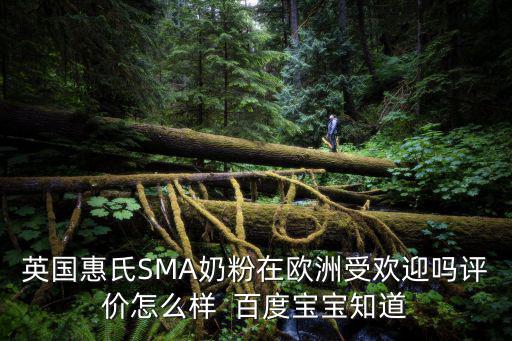 英國惠氏SMA奶粉在歐洲受歡迎嗎評價怎么樣  百度寶寶知道