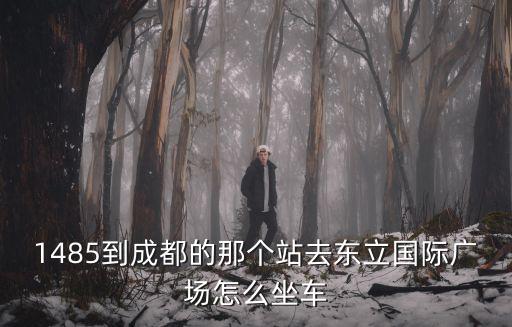 1485到成都的那個站去東立國際廣場怎么坐車