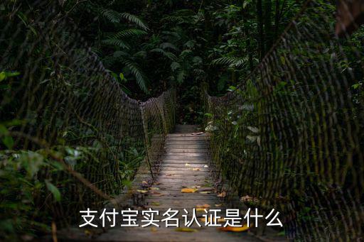 實(shí)名認(rèn)證支付寶，支付寶實(shí)名認(rèn)證