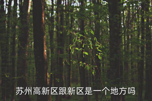 蘇州高新區(qū)跟新區(qū)是一個(gè)地方嗎