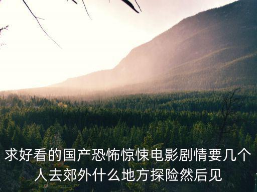求好看的國產恐怖驚悚電影劇情要幾個人去郊外什么地方探險然后見