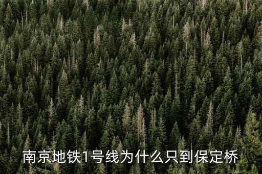 南京地鐵1號(hào)線為什么只到保定橋