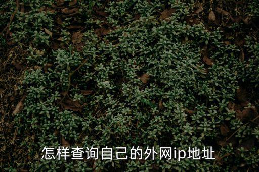 怎樣查詢自己的外網(wǎng)ip地址