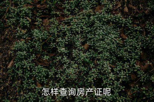 怎樣查詢房產(chǎn)證呢