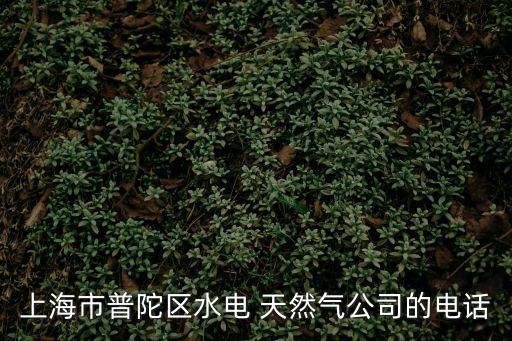 上海市普陀區水電 天然氣公司的電話
