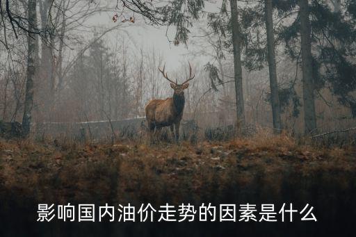 影響國內油價走勢的因素是什么