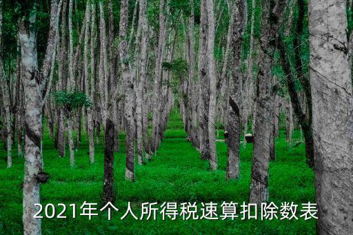 2021年個人所得稅速算扣除數表