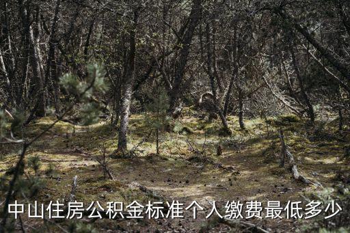 中山住房公積金標準個人繳費最低多少