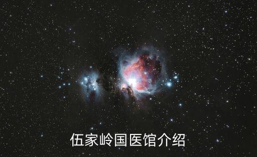 伍家嶺國醫館介紹
