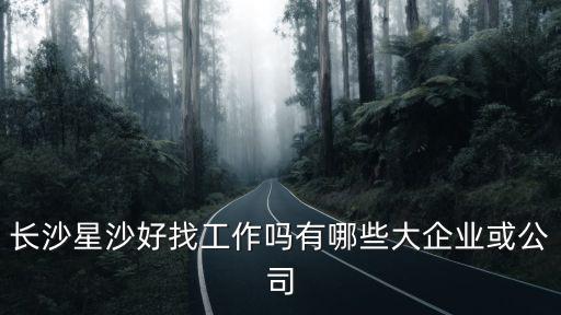 長沙星沙好找工作嗎有哪些大企業或公司