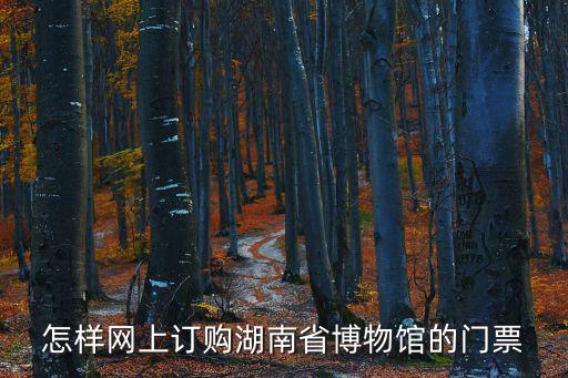 怎樣網上訂購湖南省博物館的門票