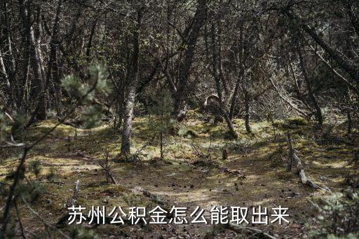 蘇州公積金怎么能取出來