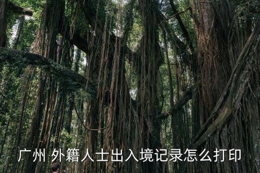 廣州 外籍人士出入境記錄怎么打印