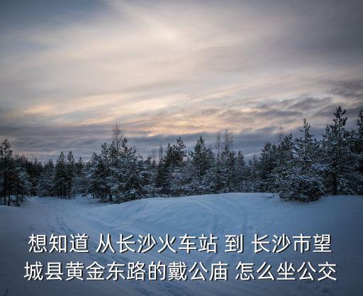 戴公廟，從長(zhǎng)沙望城戴公廟到西站坐幾路公交車查詢結(jié)果