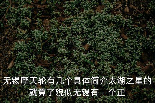 太湖之星摩天輪，無(wú)錫摩天輪有幾個(gè)具體簡(jiǎn)介太湖之星的就算了貌似無(wú)錫有一個(gè)正
