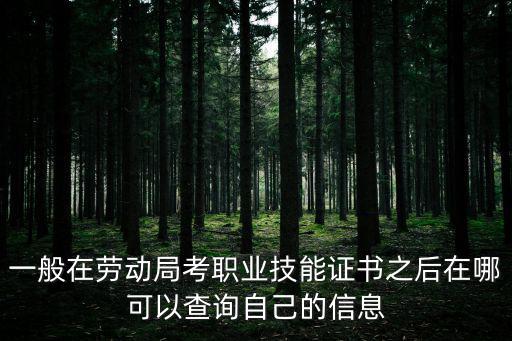 一般在勞動局考職業(yè)技能證書之后在哪可以查詢自己的信息