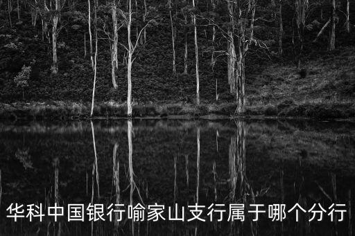 喻家山，中國地質大學東區(qū)喻家山莊4棟2004是武昌區(qū)還是洪山區(qū)