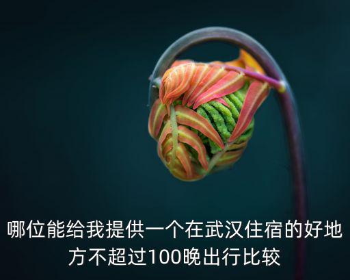 哪位能給我提供一個在武漢住宿的好地方不超過100晚出行比較