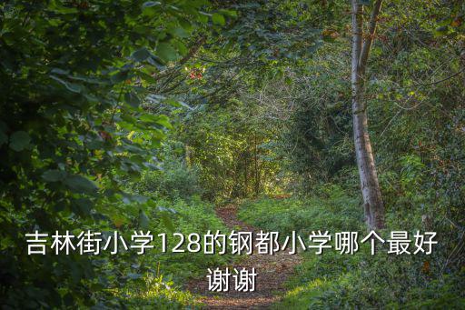 吉林街小學(xué)128的鋼都小學(xué)哪個最好謝謝