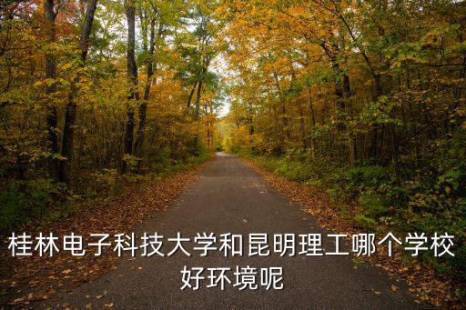 桂林電子科技大學和昆明理工哪個學校好環(huán)境呢
