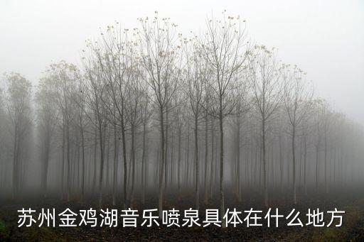 蘇州金雞湖音樂噴泉具體在什么地方