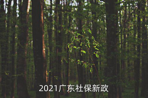 廣東社保，廣東社保最新政策2022