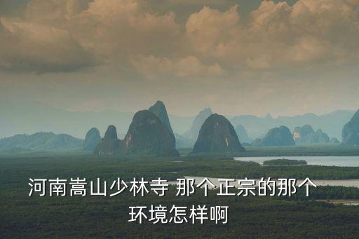 河南嵩山少林寺，河南嵩山少林寺 那個正宗的那個  環境怎樣啊
