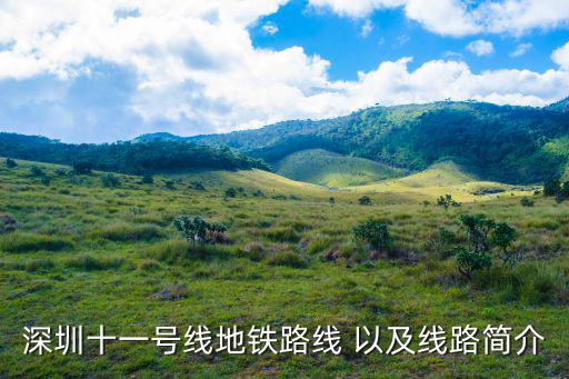 深圳十一號線地鐵路線 以及線路簡介