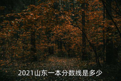 2021山東一本分數(shù)線是多少