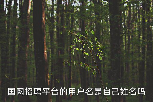 國網招聘平臺的用戶名是自己姓名嗎