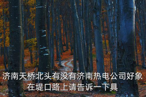 濟南熱力集團，濟南熱力公司是壟斷行業嗎