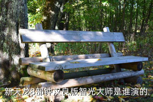 新天龍8部鐘漢良版智光大師是誰演的