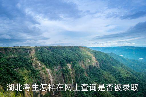 湖北信息招生網，湖北招生網每天什么時候更新錄取結果啊