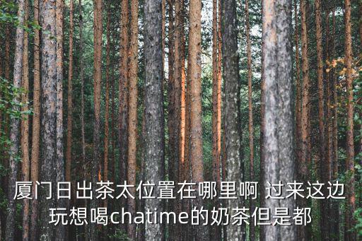 廈門日出茶太位置在哪里啊 過來這邊玩想喝chatime的奶茶但是都