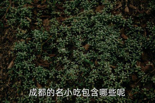 成都的名小吃包含哪些呢
