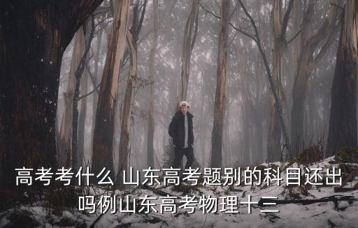 高考考什么 山東高考題別的科目還出嗎例山東高考物理十三
