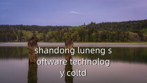shandong luneng software technology coltd