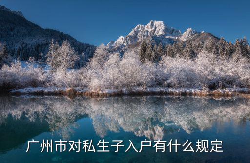 廣州市對私生子入戶有什么規定