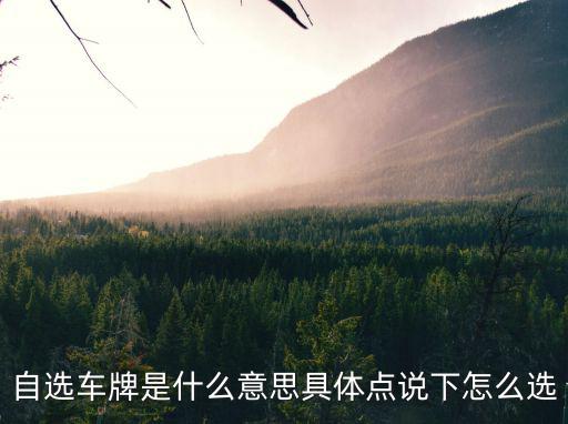 自選車牌是什么意思具體點說下怎么選