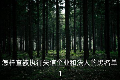 怎樣查被執行失信企業和法人的黑名單1