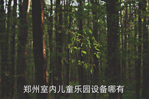奈爾寶兒童樂園，寶寶樂園 寶寶星光伴你行 續費半年真的成永久寶寶么
