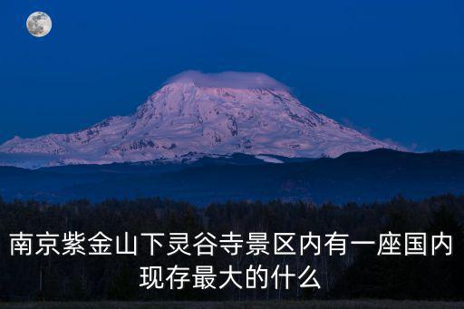 南京紫金山下靈谷寺景區內有一座國內現存最大的什么