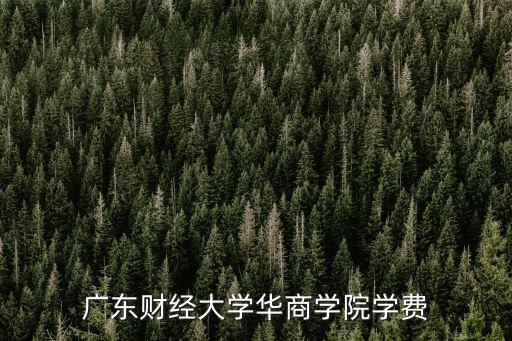 廣東財經大學華商學院學費