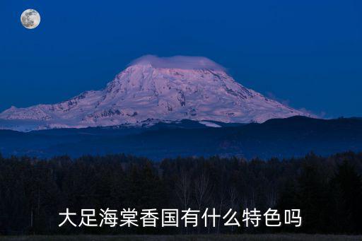 海棠香，大足為什么叫海棠香國